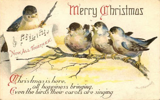 xmasbirds