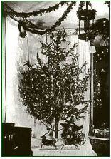 firstchristmastree