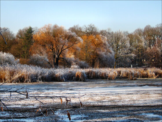 Erster Schnee