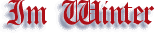 Im Winter