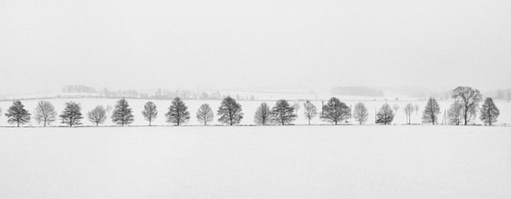 Entlang der Bahnstrecke Leipzig – Dresden kilometerweit durch weißes Nichts im Januar 2009
